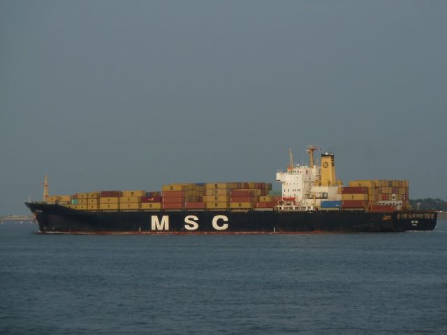 MSC Noa - estuaire - 29 avril 2011 (03).JPG